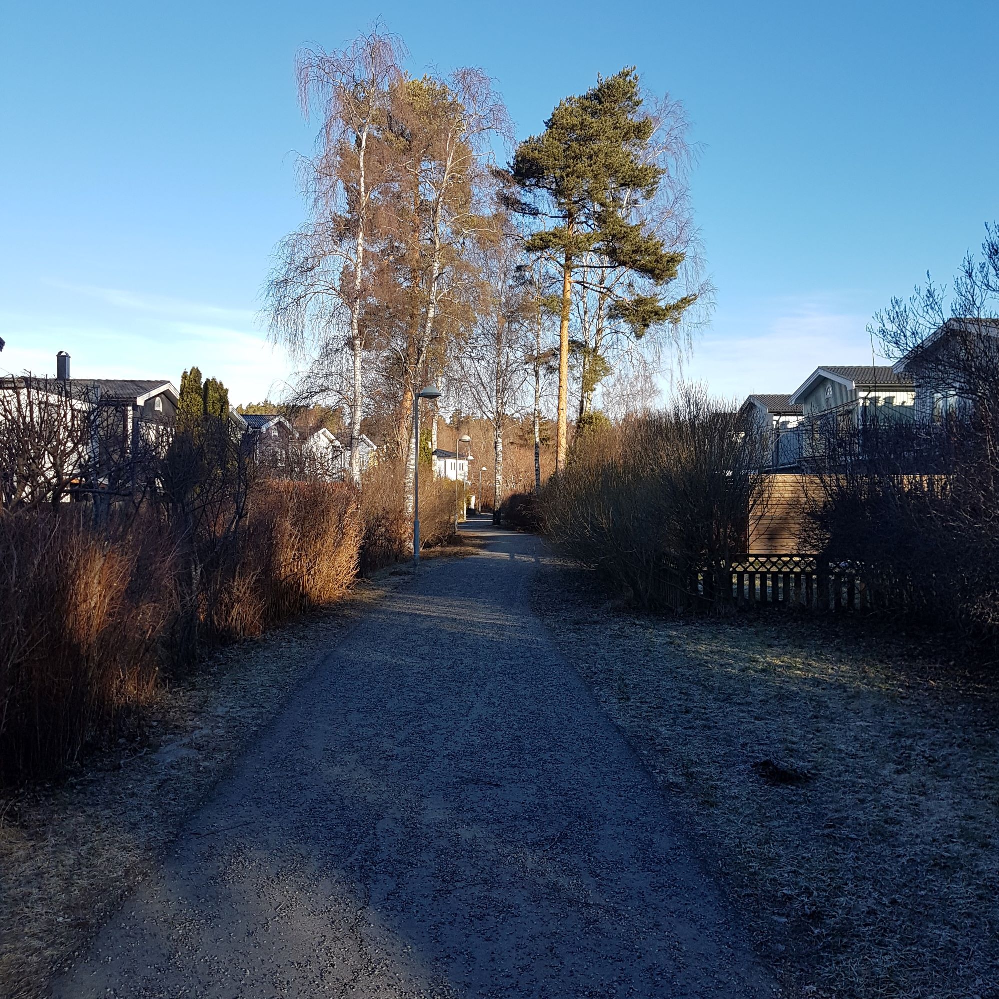 Foto över en del av husen