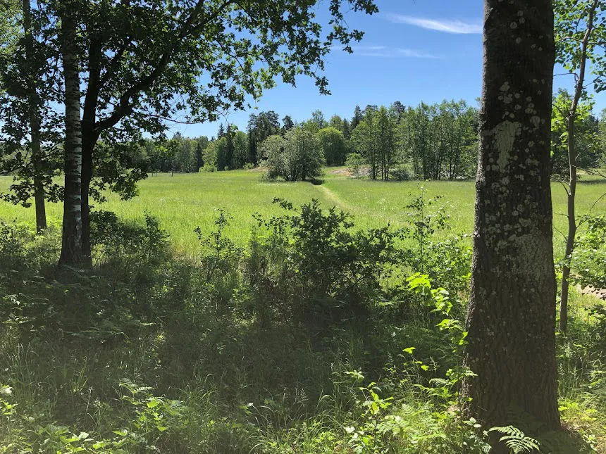 Ängen vid vår samfällighet