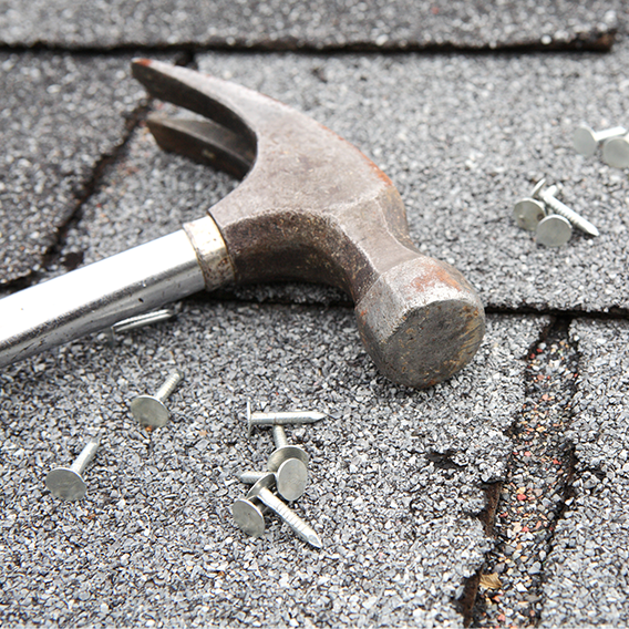 Hammare och spik på tak